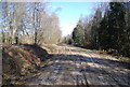 Track, Coblye Wood