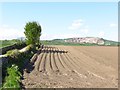NO4119 : Potato field, Pitcullo by Richard Webb
