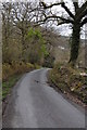 Road approaching Olchfa Mill