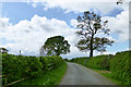 Bridleway to Shirdfold Farm