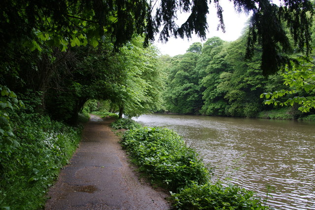 Path by the River Wear