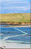 HY2428 : Causeway to Brough of Birsay by Andy Farrington