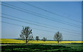 TL1481 : Power Cables over Grange Farm fields by Kim Fyson