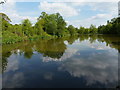 Fishing pool at Toys Rough