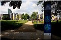 The Thames Path through Pepys Park