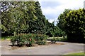 Rose beds in Sayes Court Park