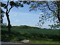 Farmland beside the A1031