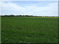 Farmland off Tetney Road