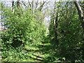 Footpath heading east off Humberston Road