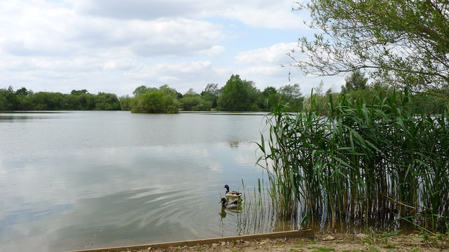 May Water, Chigborough Fisheries, nr... © Essex Walks cc-by-sa/2.0 ...