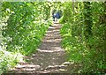 Footpath on Old Railway Line