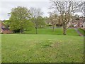 Green space off Swanfield Road