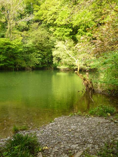 Pond in Lincombe Quarry