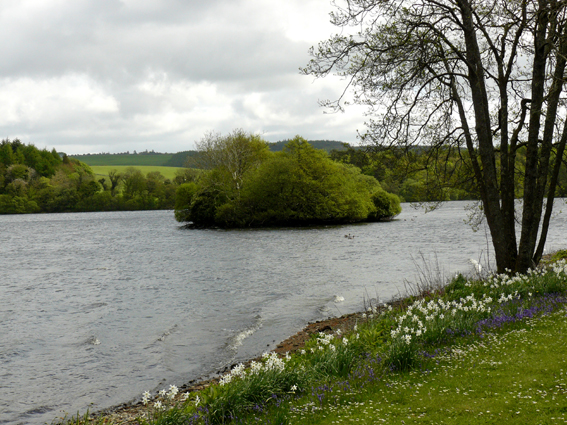 Crannog Within The Castle Kennedy Estate © Norman Caesar Geograph