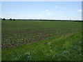 Farmland, West End