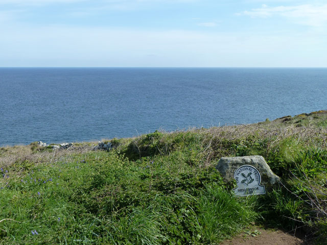 On Hellesveor Cliff © Robin Webster :: Geograph Britain and Ireland