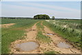 Bridleway and farm track with drain