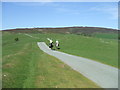 Horse riders near Squilver