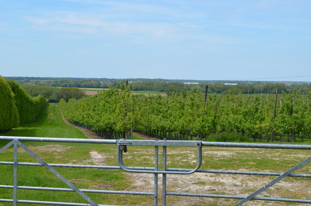 Gated Orchard 