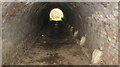 Pedestrian tunnel under railway, Margaretting