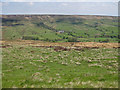 SE6898 : View to Dale Head Farm, Rosedale by Pauline E