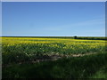 Farmland, Highfields