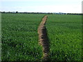 Footpath over field