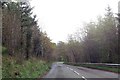 A686 through the trees east of Coatlith Hill