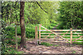 Footpath near Coldrey Farm