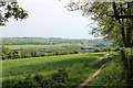 Field off Windmill Hill