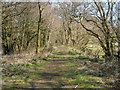 Disused trackbed of the Newcastle Emlyn branch