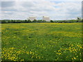 Crooks Marsh looking East