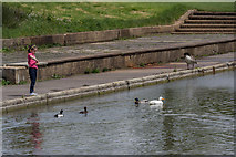 TQ2995 : Feeding the Ducks, Oakwood Park, London N14 by Christine Matthews