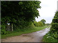 TM1137 : Footpath to the A137 & Station Road by Geographer