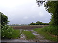 Field entrance off Church Road