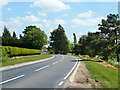 Road north of Blake End