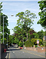 Westbourne Road in  Edgbaston, Birmingham