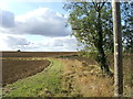 Bridleway from Newman