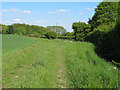 Footpath near Slotslough Bridge, Blackmore End