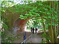 Bridgetts Lane Railway Bridge