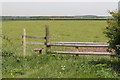 Stile and footpath off Gorse Drove