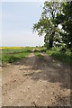 Farm track off Gorse Lane