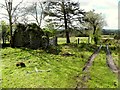 Ruined cottage, Cornavarrow