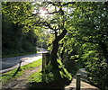 Path by Upper Park Road