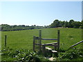 Stile near Poppinghole Road