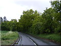 TM1037 : Capel Road, Bentley by Geographer