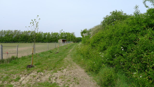 Mabb's Farm Footpath