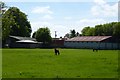 Horses at Easthorpe Hall