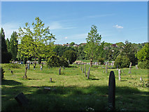 SU8950 : Ash cemetery by Alan Hunt