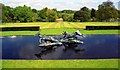 SJ4160 : Lioness and Kudu Pond at Eaton Hall by Jeff Buck